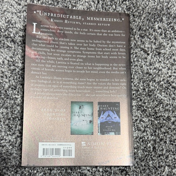 Diary of a Haunting Book - Picture 2 of 2